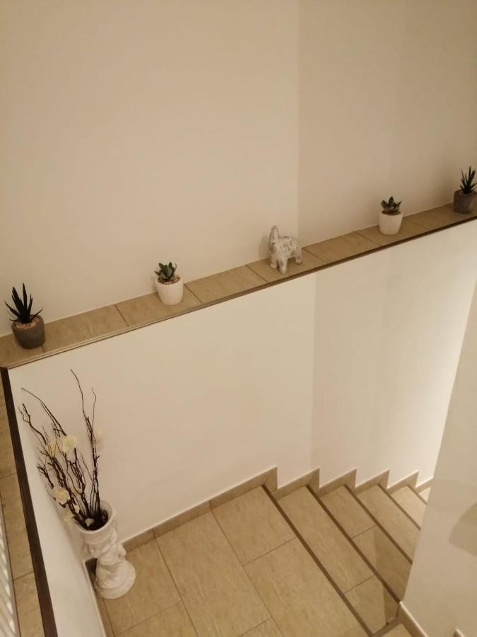 Cazare Regim Hotelier Zarnesti Exterior photo